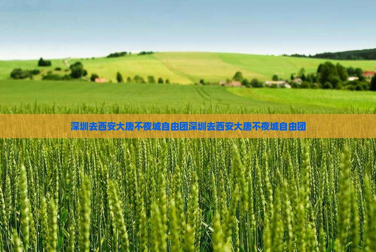 深圳去西安大唐不夜城自由团