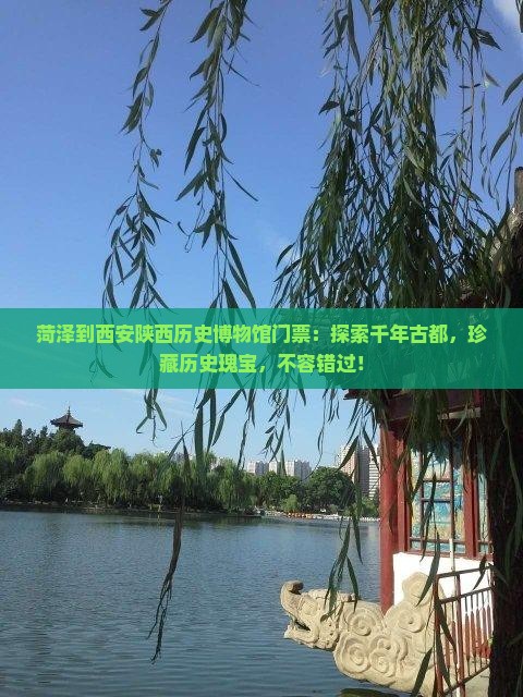 菏泽到西安陕西历史博物馆门票