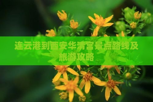 连云港到西安华清宫景点