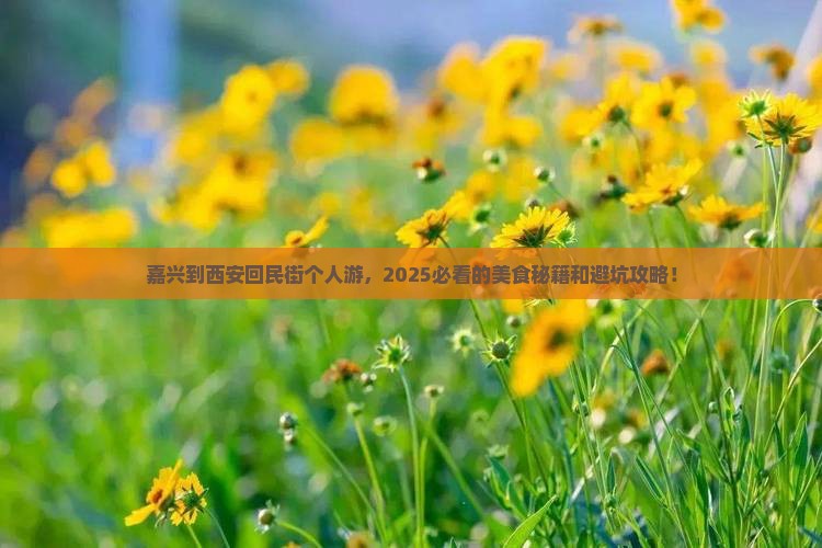 嘉兴到西安回民街个人游