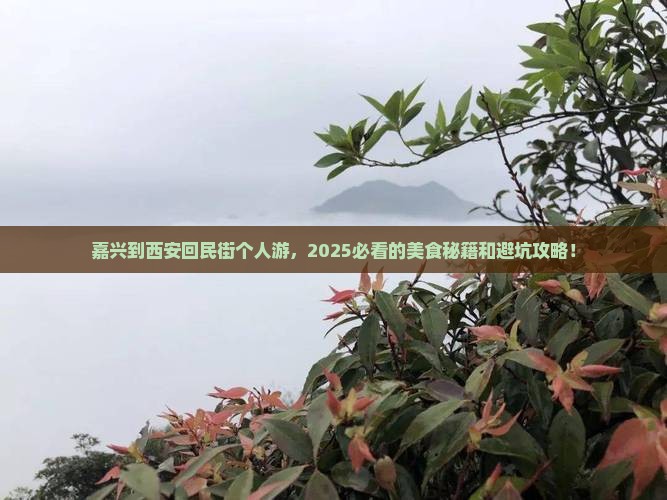 嘉兴到西安回民街个人游