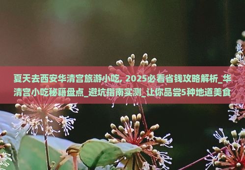 夏天去西安华清宫旅游小吃