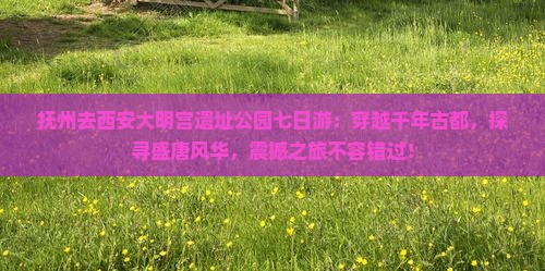 抚州去西安大明宫国家遗址公园七日游