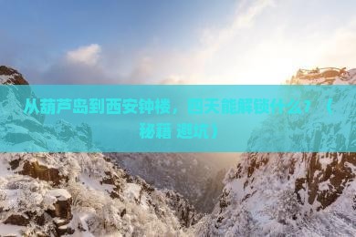 葫芦岛去西安钟楼四日游