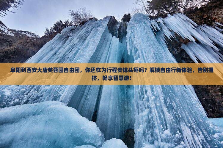 阜阳到西安大唐芙蓉园自由团