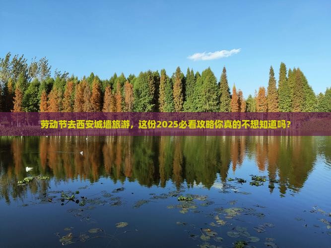 劳动节到西安城墙旅游