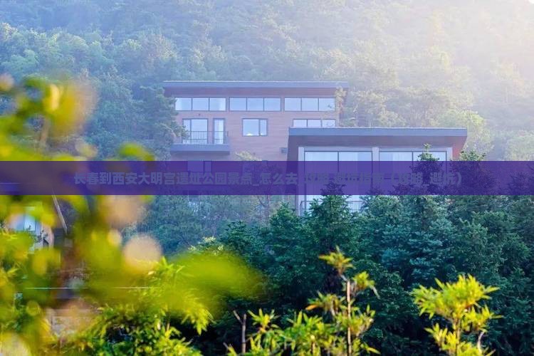 长春到西安大明宫国家遗址公园景点