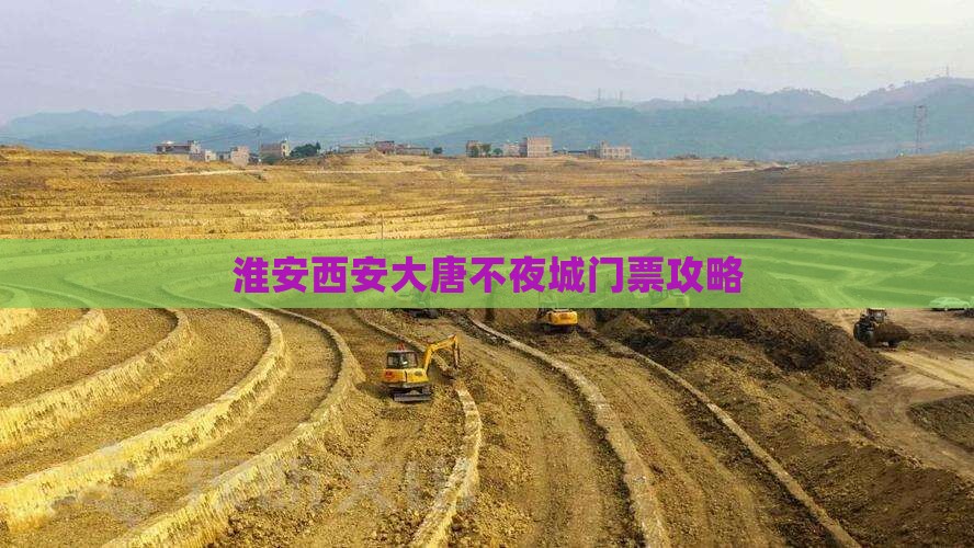 淮安去西安大唐不夜城门票