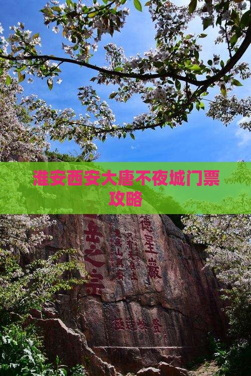 淮安去西安大唐不夜城门票