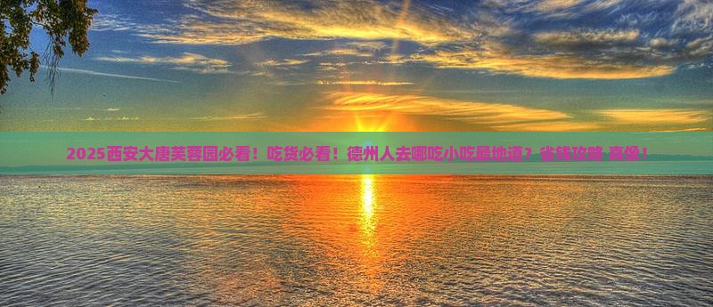 德州去西安大唐芙蓉园旅游小吃