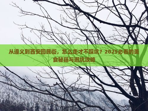 遵义到西安回民街攻略