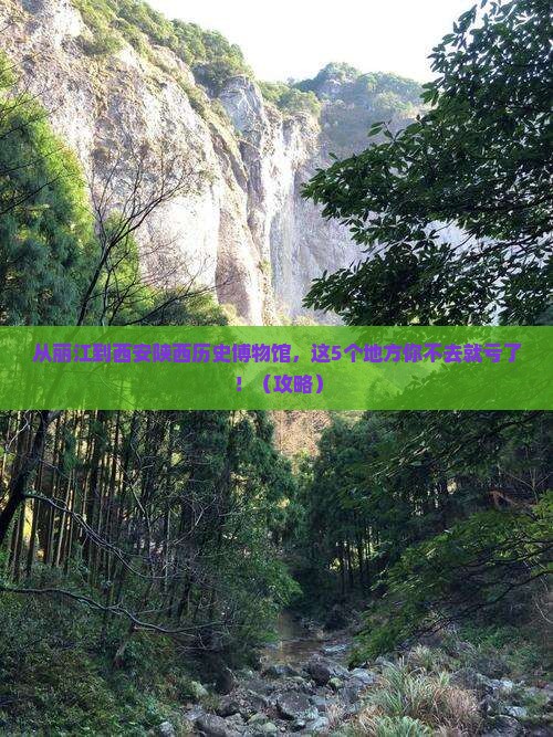 丽江去西安陕西历史博物馆必去地