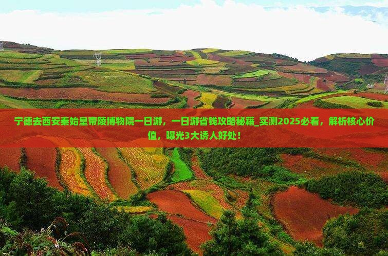 宁德去西安秦始皇帝陵博物院一日游