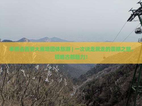 孝感去西安大雁塔团体旅游