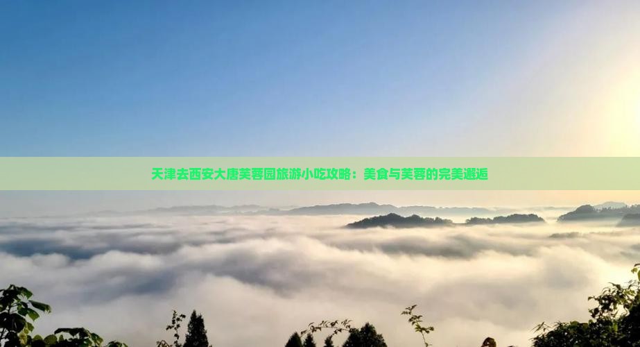 天津去西安大唐芙蓉园旅游小吃