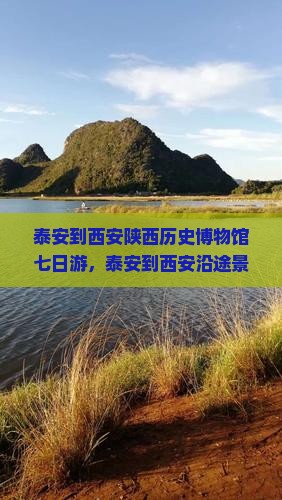 泰安到西安陕西历史博物馆七日游