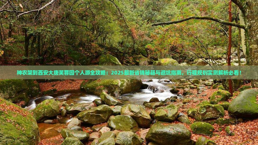 神农架到西安大唐芙蓉园个人游