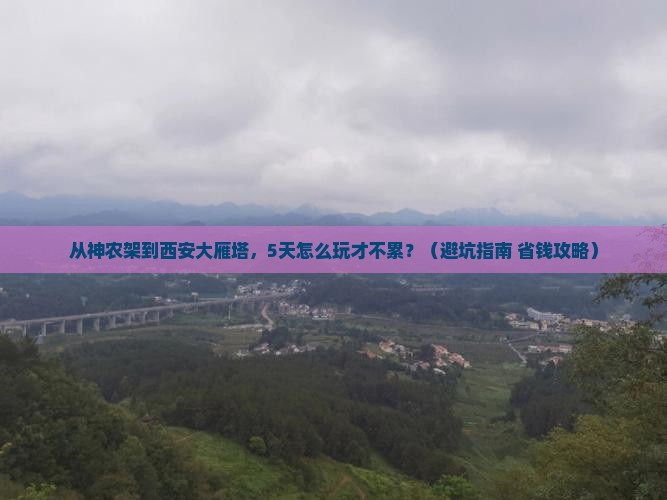 神农架去西安大雁塔团体旅游