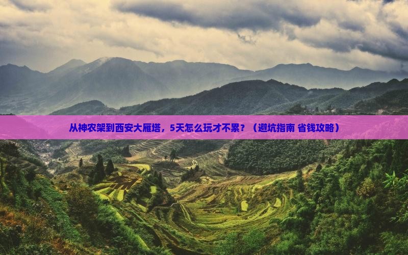 神农架去西安大雁塔团体旅游