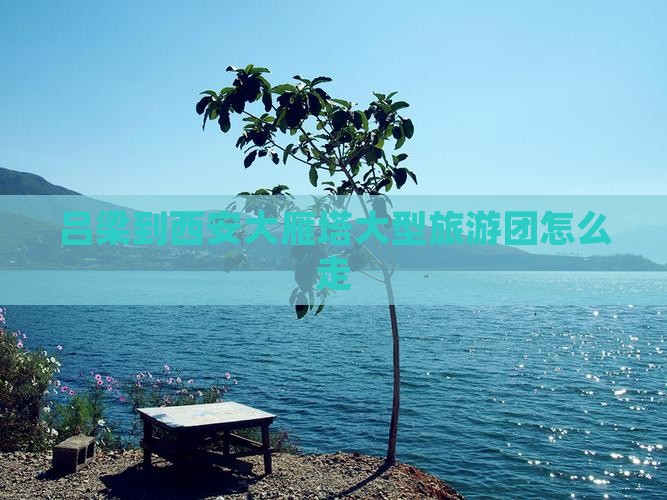 吕梁到西安大雁塔大型旅游团