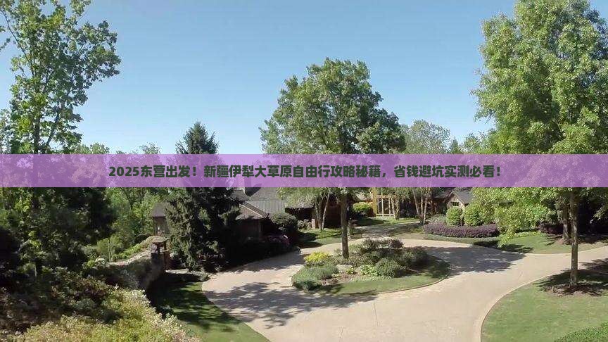 东营到新疆伊犁大草原自由行