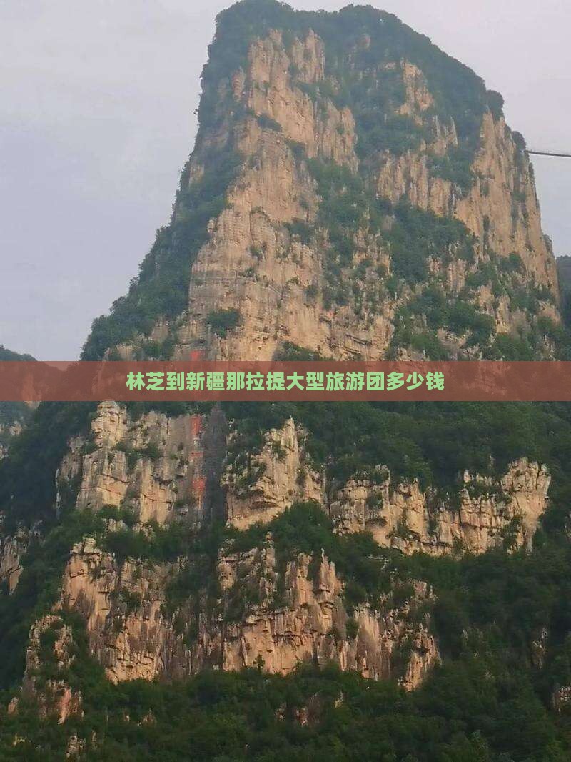 林芝到新疆那拉提大型旅游团