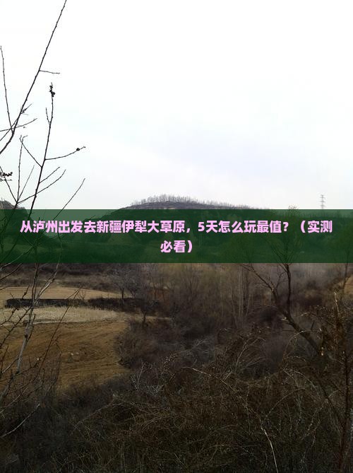 泸州去新疆伊犁大草原景点