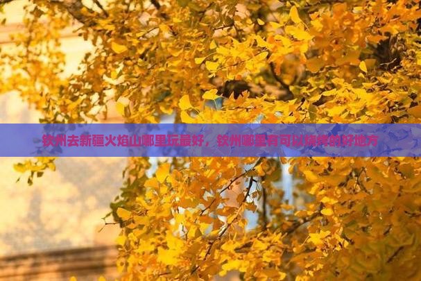 钦州去新疆火焰山哪里玩