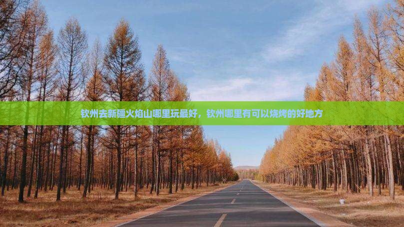 钦州去新疆火焰山哪里玩