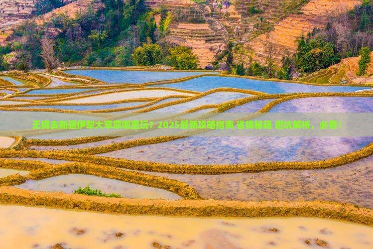 无锡去新疆伊犁大草原哪里玩