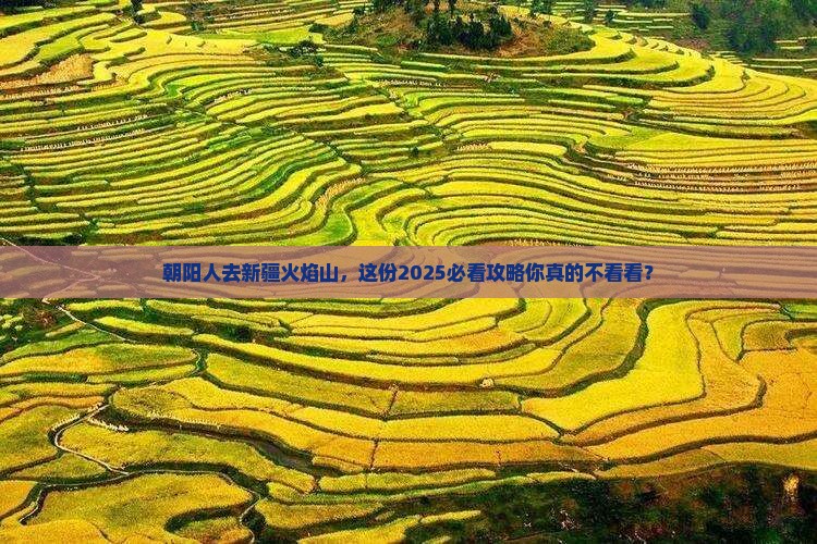 朝阳去新疆火焰山大型旅游团