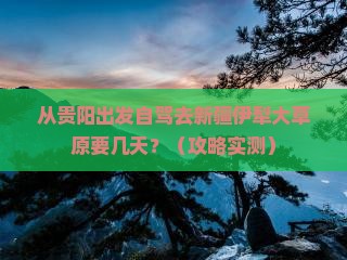 黔南到新疆伊犁大草原景点