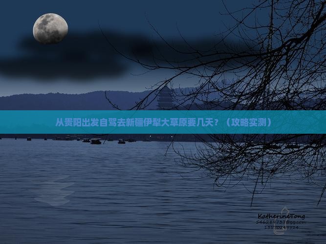 黔南到新疆伊犁大草原景点