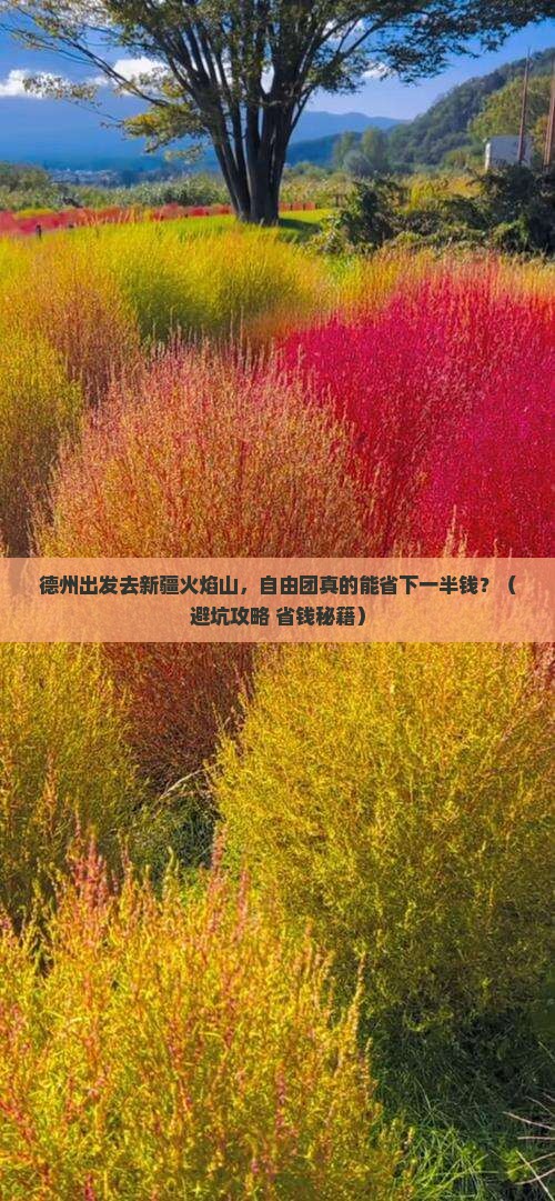 德州去新疆火焰山自由团
