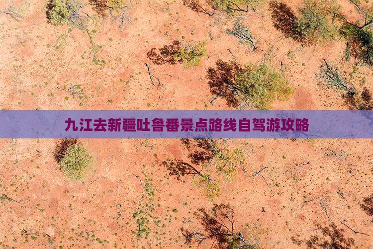 九江去新疆吐鲁番景点