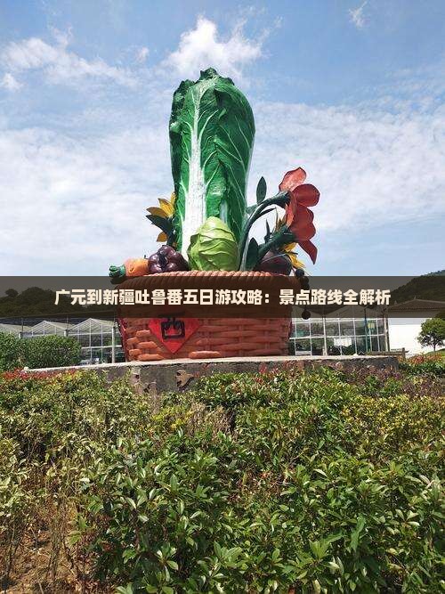 广元去新疆吐鲁番五日游