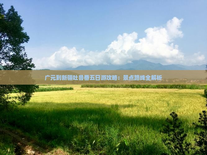 广元去新疆吐鲁番五日游