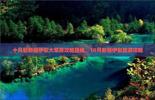 十月到新疆伊犁大草原攻略