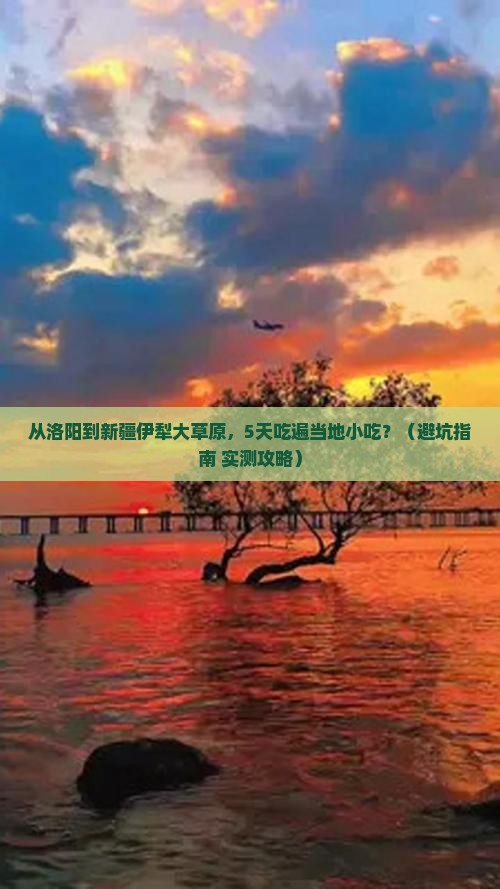 洛阳到新疆伊犁大草原旅游小吃