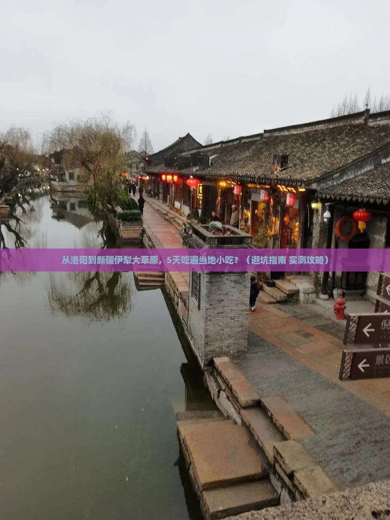 洛阳到新疆伊犁大草原旅游小吃