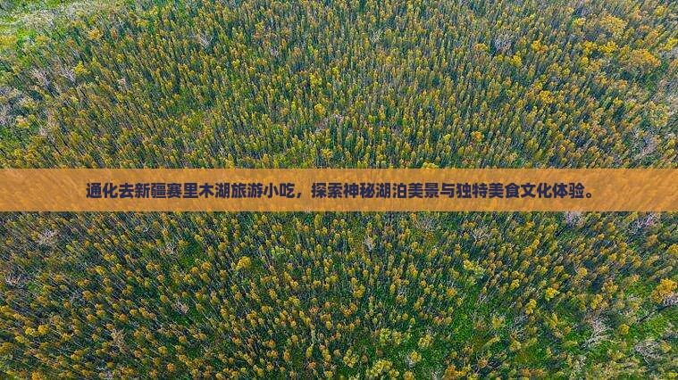 通化去新疆赛里木湖旅游小吃