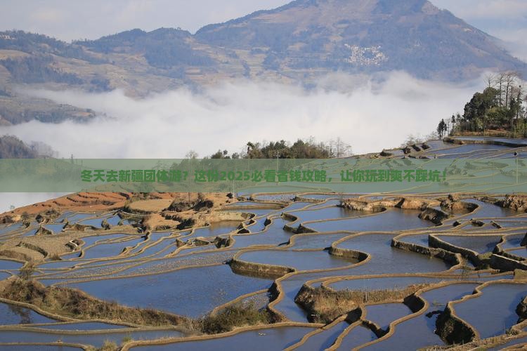 冬天去新疆团体旅游