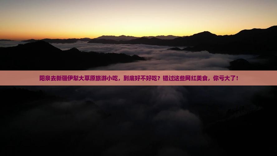 阳泉去新疆伊犁大草原旅游小吃