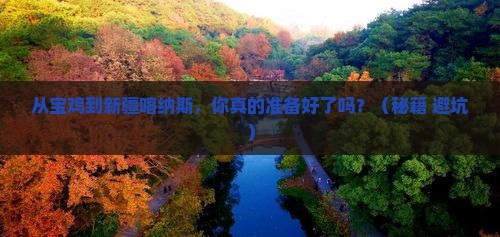 宝鸡到新疆喀纳斯攻略