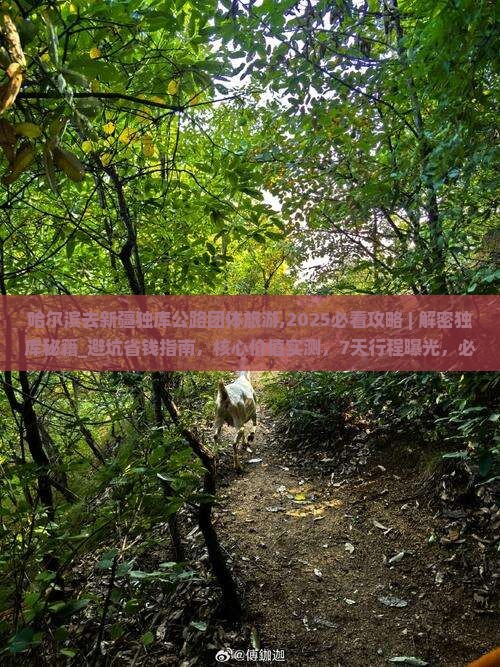 哈尔滨去新疆独库公路团体旅游