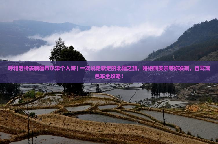 呼和浩特去新疆布尔津个人游