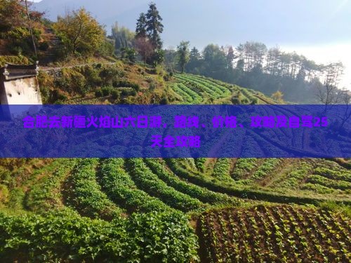 合肥去新疆火焰山六日游