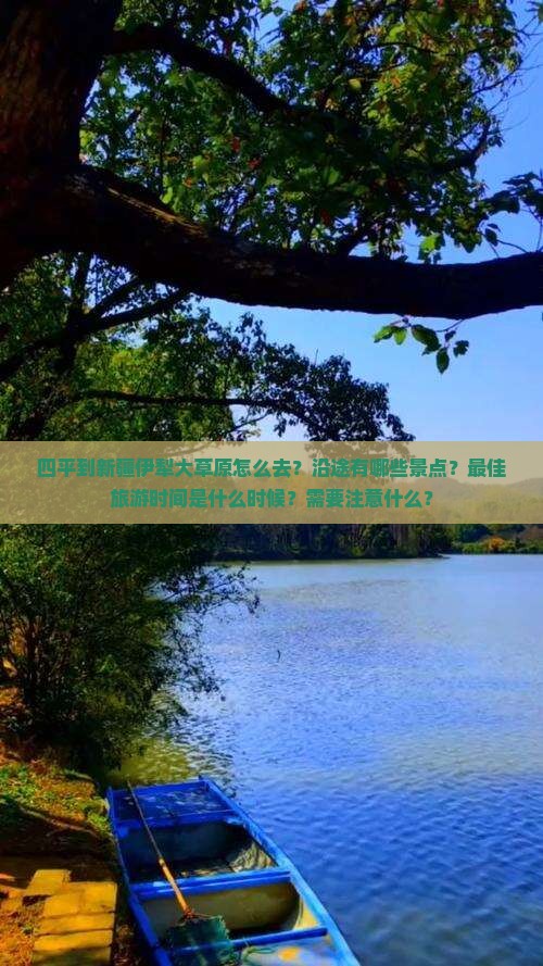 四平去新疆伊犁大草原景点