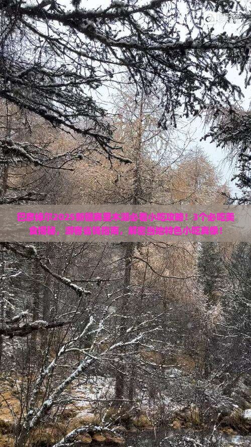 巴彦倬尔去新疆赛里木湖旅游小吃