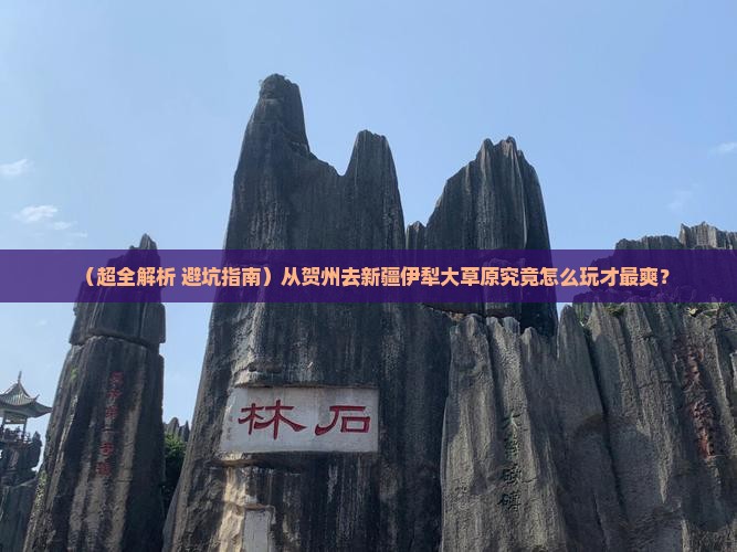 贺州到新疆伊犁大草原哪里玩